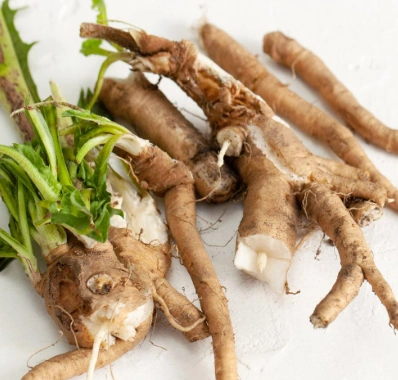 Chicory Root Inulin prebiotic fiber in Sodatide — feeds beneficial gut bacteria and reduces glucose spikes after meals